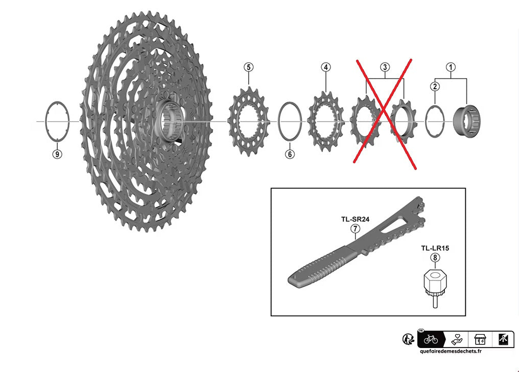 Microspline Freecoaster