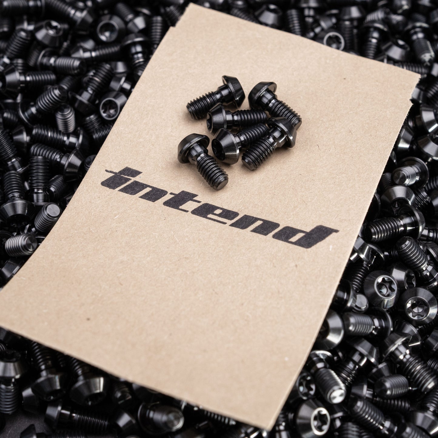 Intend Brake Rotor Bolts